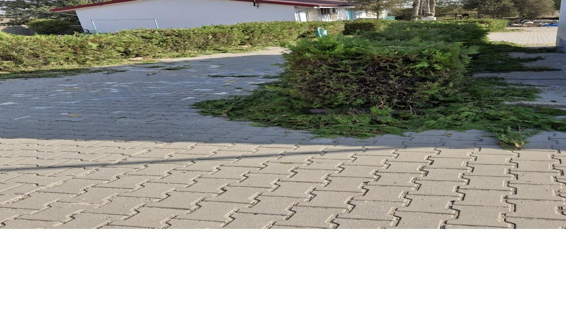 BAHÇE DÜZENLEMESİ